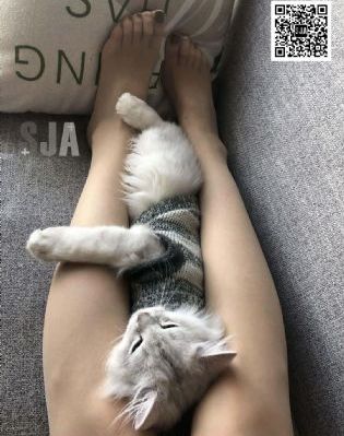 日本东京热av网站_BD韩语免费高清观看